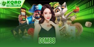 Dom88