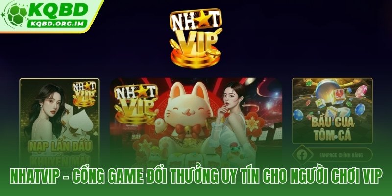 Nhatvip và chuẩn phân cấp VIP hoàn chỉnh nhất thị trường nội địa