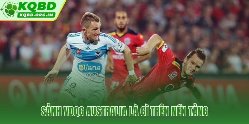 Không gian tổng hợp thông tin chuyên sâu về VĐQG Australia trên KQBD