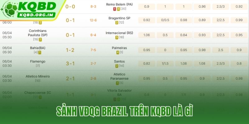 VĐQG Brazil trên KQBD nền tảng kiến thức cho fan Brasileirão