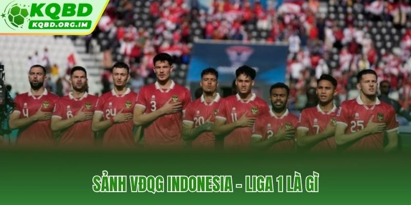 VĐQG Indonesia và BRI Liga 1 đỉnh cao bóng đá xứ vạn đảo