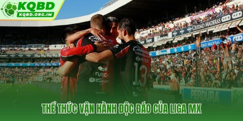 VĐQG Mexico với hai chức vô địch và Liguilla quyết định số phận