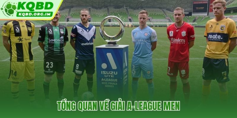 Lịch sử hình thành và cơ cấu tổ chức độc đáo của VĐQG Australia