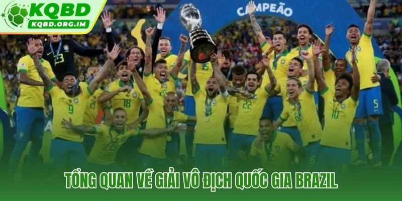 Brasileirão Série A lịch sử hàng thập kỷ và bản sắc Nam Mỹ độc đáo