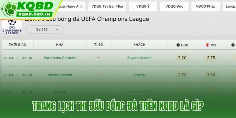 Lịch thi đấu KQBD trung tâm thông tin lịch trình đa giải hàng đầu