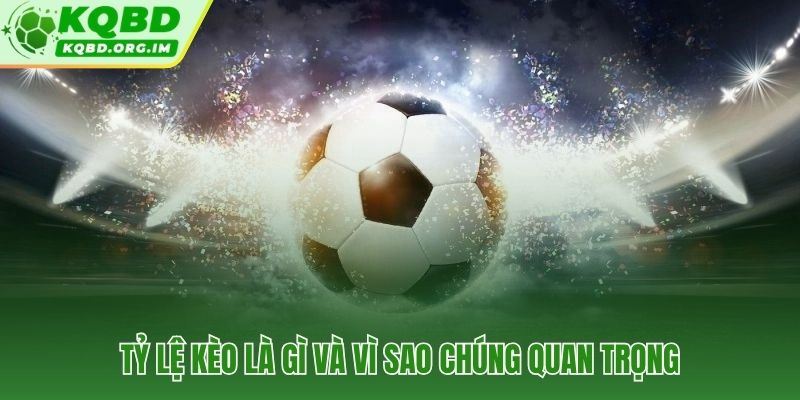 Tỷ lệ kèo con số phản ánh xác suất và mức thưởng trên từng trận